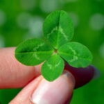 Voll im Glück  a thought-provoking city tour through Ludwigsburg - Who Will Love This Tour?