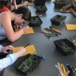 Volterra: Family-Friendly Herbal Laboratory Workshop - The Herb Picking Experience