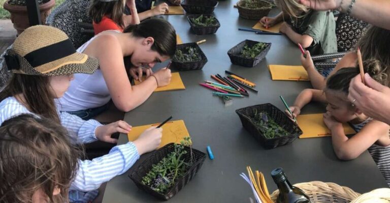Volterra: Family-Friendly Herbal Laboratory Workshop - The Herb Picking Experience