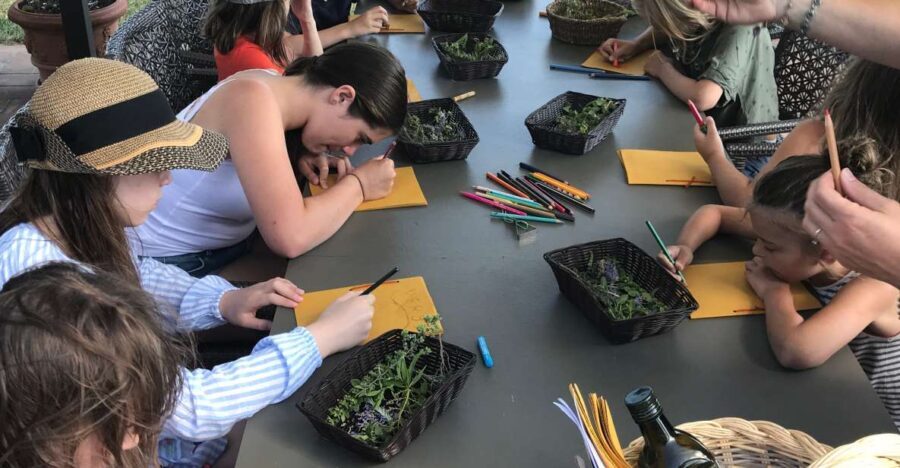 Volterra: Family-Friendly Herbal Laboratory Workshop - The Herb Picking Experience