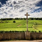 Vosne-Romanée: Private Vineyards Walking Tour with Tasting - Value and Pricing
