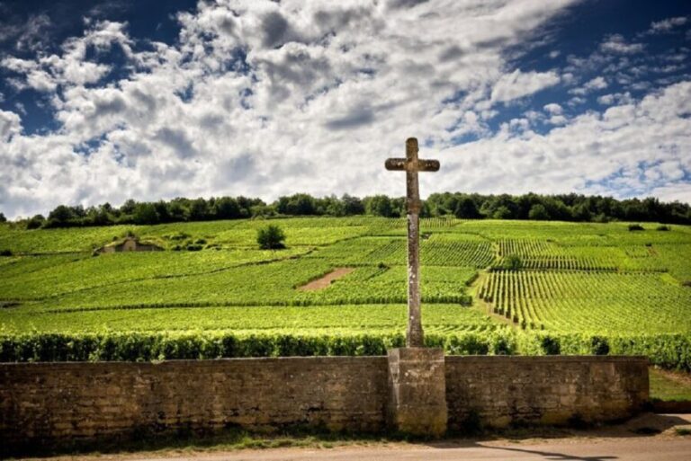 Vosne-Romanée: Private Vineyards Walking Tour with Tasting - Value and Pricing