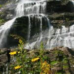 Voss: Guided Fjord & Glacier Tour to Fjærland - What’s Included and What to Consider