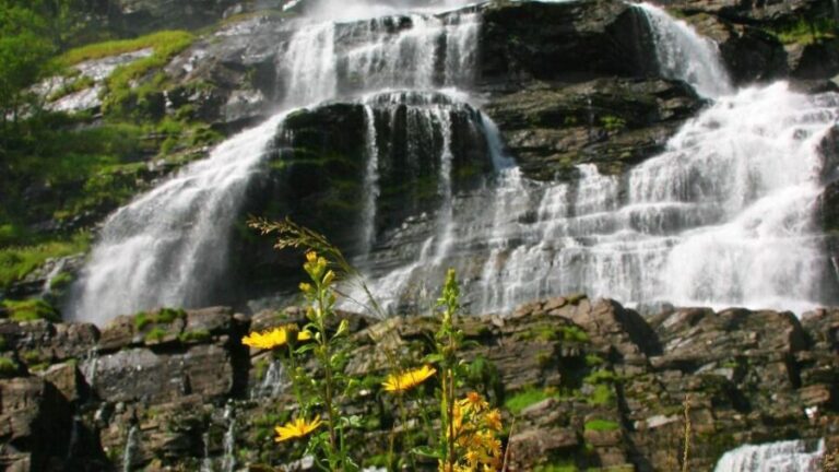 Voss: Guided Fjord & Glacier Tour to Fjærland - What’s Included and What to Consider