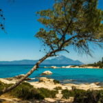 Vourvourou: Private Cruise to Orange Beach & Sithonia Coast - Practical Details and What’s Included