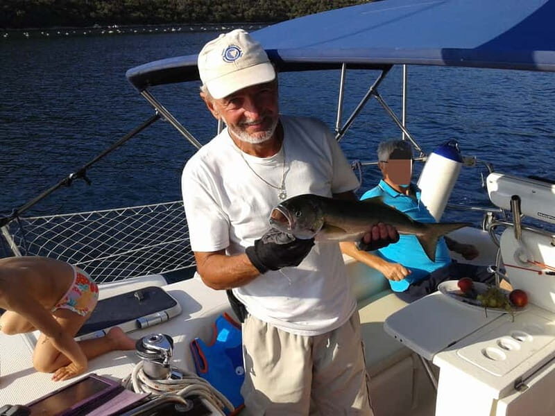 Vrsar: Dolphin Watching and Sightseeing Private Day Cruise - The Sum Up