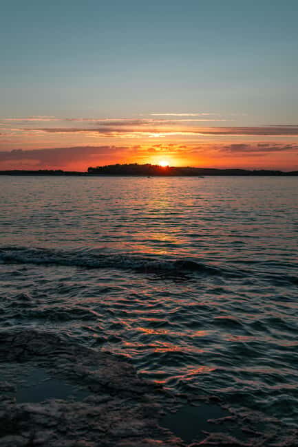 VRSAR: Night Boat Tour to Rovinj with Dolphin Watching - Final Thoughts