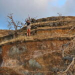 Vulcano Island: Panoramic Walk - Why This Tour Offers Great Value