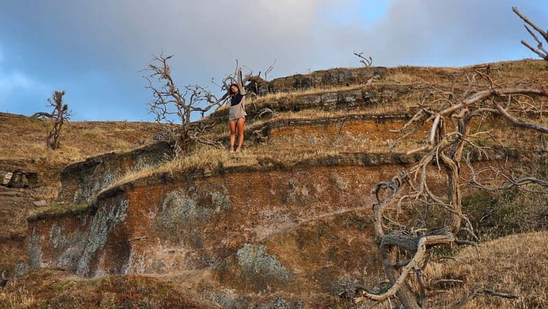 Vulcano Island: Panoramic Walk - Why This Tour Offers Great Value