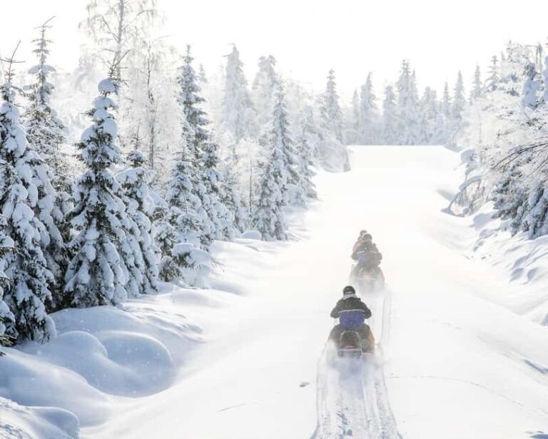 Vuokatti: Snowmobile Safari with Lunch at Haapala BnB - Why We Think This Tour is Worth It