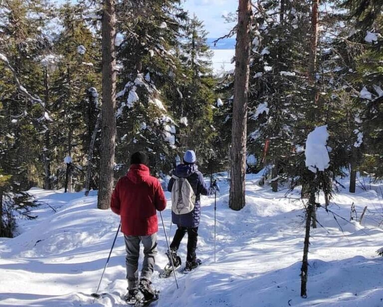 Vuokatti: Snowshoeing Adventure in the Forest - What Makes This Tour Special?