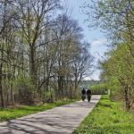 Wachau e-bike tour (Krems to Melk) incl. KTM rental bike - The Itinerary in Detail