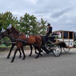 Wachau porcelain carriage A sparkling carriage ride through the vineyards - Final Thoughts