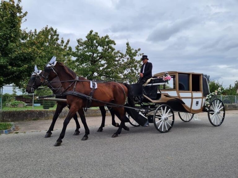Wachau porcelain carriage A sparkling carriage ride through the vineyards - Final Thoughts