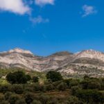 Walk among the olive trees (Small group experience) - Why this tour is worth considering