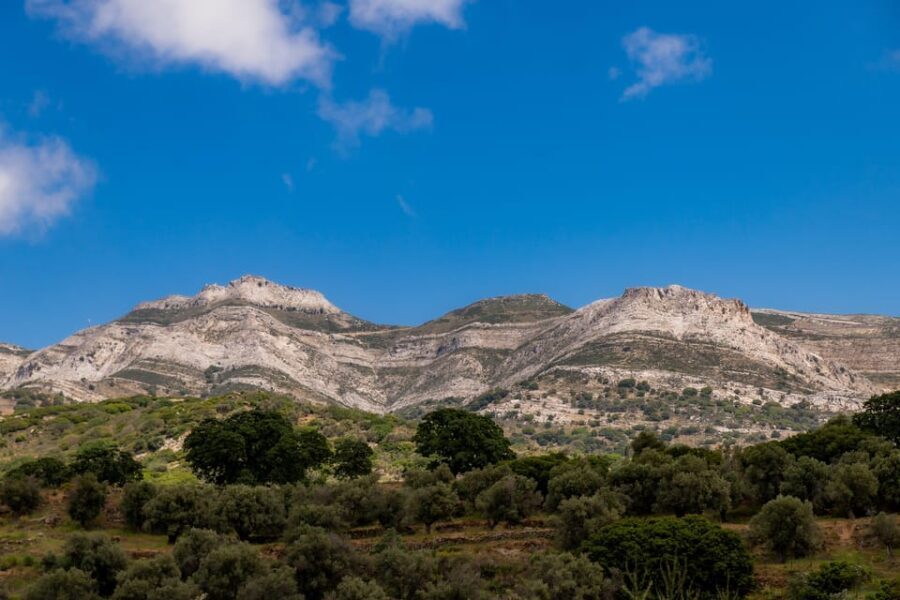 Walk among the olive trees (Small group experience) - Why this tour is worth considering