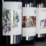 Walk among the rows of vineyards and wine tasting - Who Will Love This Tour?