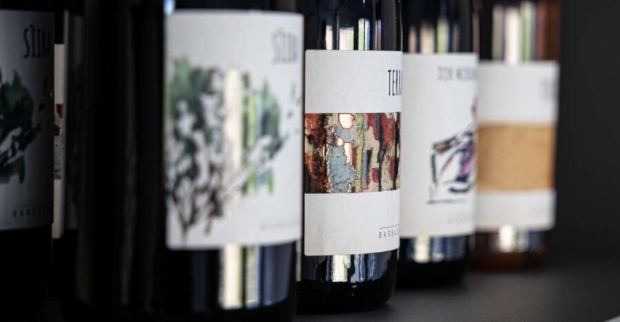 Walk among the rows of vineyards and wine tasting - Who Will Love This Tour?