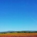 Walk in the Cork Forest Experience Pack - Overall Value and Practical Considerations