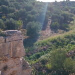 Walk through Lama S.Croce: Between Trulli and Olive Trees - Who Should Consider This Tour?