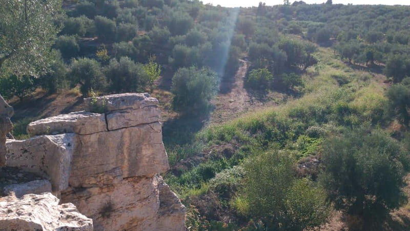 Walk through Lama S.Croce: Between Trulli and Olive Trees - Who Should Consider This Tour?