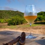 Walk through our vineyard and aperitif - What to expect from this vineyard tour
