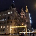 Walking on the historical trail of Viennese Christmas Trees - In Summary