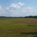 Warsaw: Bialowieza National Park and European Bison Tour - Authentic Reviews and Insights