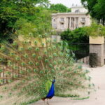 Warsaw Half-Day Private Panoramic Tour - Final Thoughts: Who Should Consider This Tour?