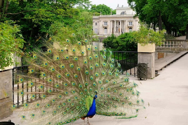 Warsaw Half-Day Private Panoramic Tour - Final Thoughts: Who Should Consider This Tour?