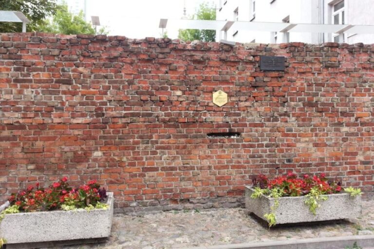 Warsaw: Jewish Heritage Private Walking Tour - Practical Details and What You’ll Get