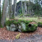 Warsaw: Private Full-Day Wolf's Lair Tour - An In-Depth Look at the Itinerary