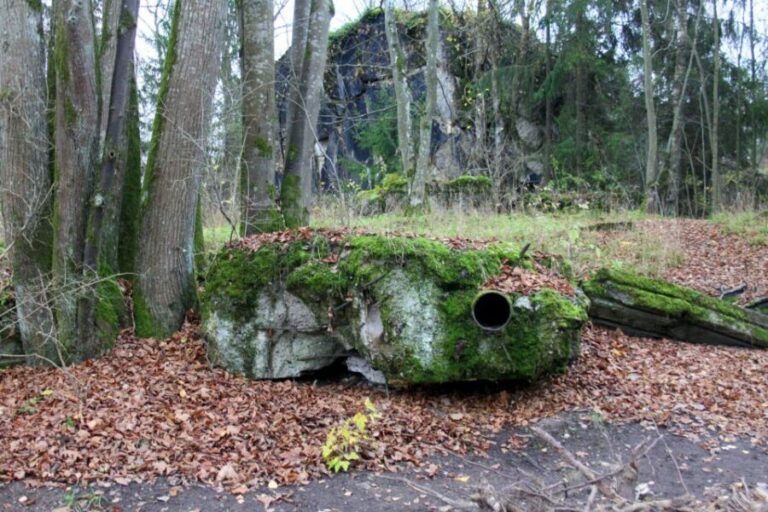 Warsaw: Private Full-Day Wolf's Lair Tour - An In-Depth Look at the Itinerary