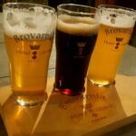 Warsaw: Private Polish Beer Tasting Tour with a Guide - An In-Depth Look at the Warsaw Beer Tour