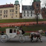 Warsaw: Tour to Krakow and Auschwitz by Train with Pickup - Who Would Love This Tour?