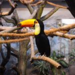 Warsaw Zoo Skip-the-Line Entry Ticket with Private Transport - Pricing and Value Analysis