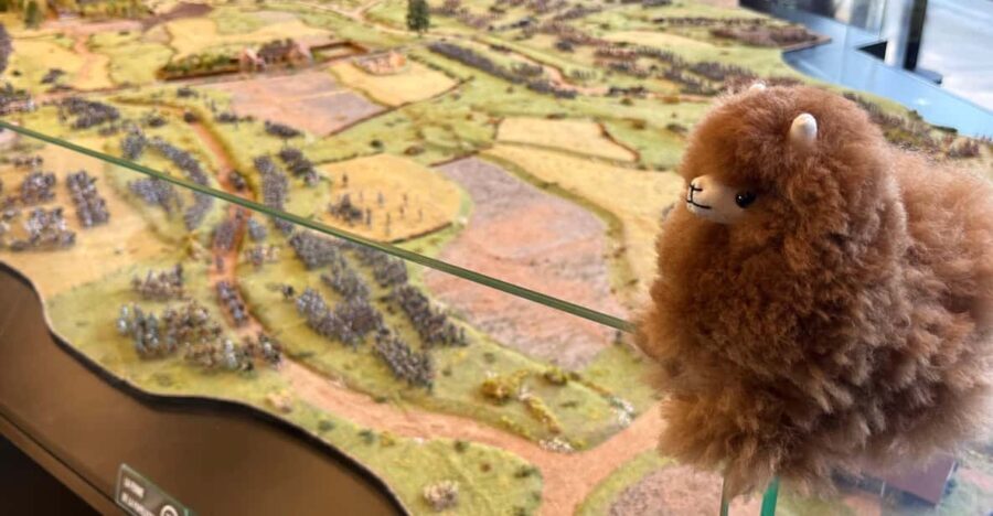 Waterloo from Brussels Half-Day Tour - What’s Not Included