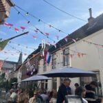 Weesp: Guided Walking Tour - Who Is This Tour Best For?