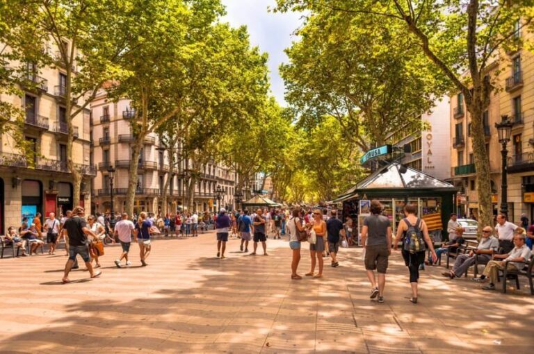 Welcome to Barcelona! Your Essential Orientation Tour. - Why This Tour Offers Great Value
