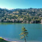 welcome to georgia discover together - Why Choose This Tour?