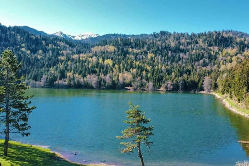 welcome to georgia discover together - Why Choose This Tour?