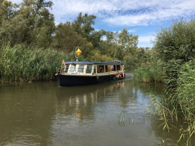 Werkendam: Boat Cruise and Biesbosch Museum Entry Ticket - Who Will Love This Tour?