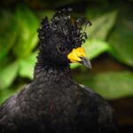 West Berkshire,UK: The Living Rainforest Centre Entry Ticket - What Sets The Living Rainforest Apart?