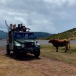West Safari - The natural pool Porto Moniz Open Roof Jeeps - Who Will Love This Tour?