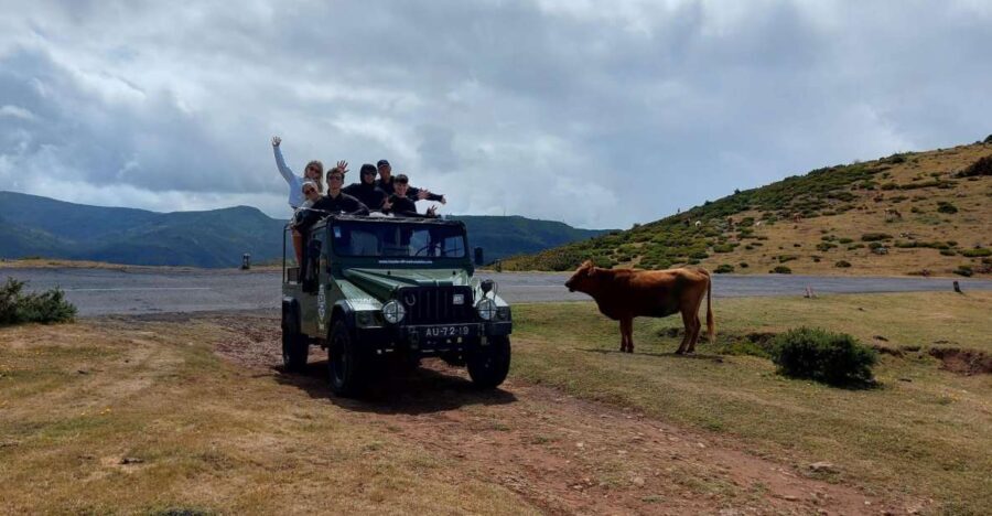West Safari - The natural pool Porto Moniz Open Roof Jeeps - Who Will Love This Tour?