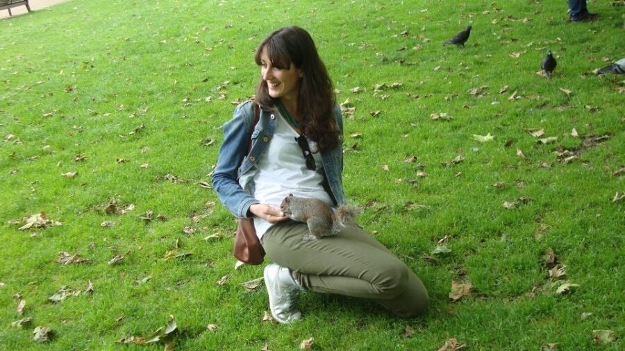 Westminster and National Gallery 3.5-Hour Tour in Italian - What We Loved About the Tour