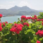 White Villages & Ronda 2-Days Trip & Overnight Stay - Transport and Group Size