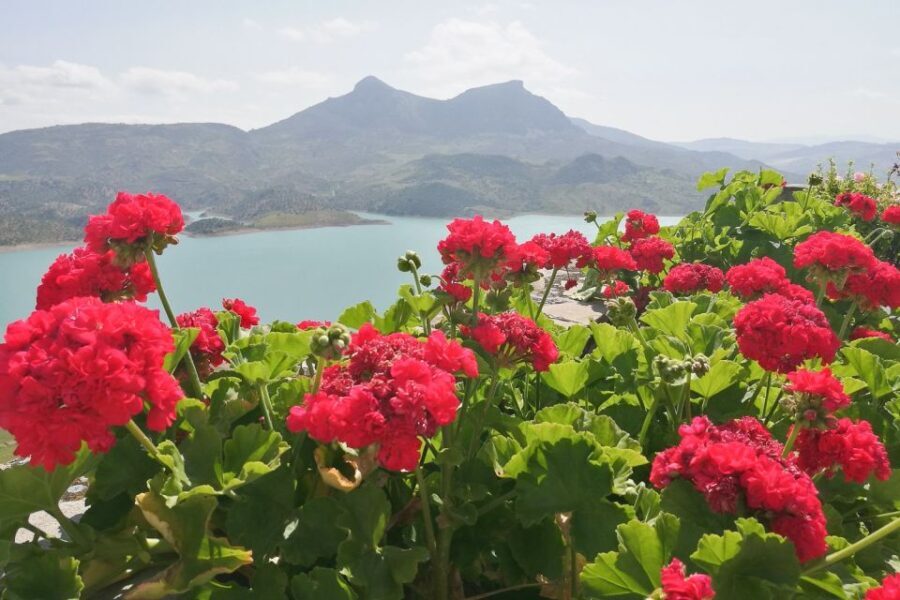 White Villages & Ronda 2-Days Trip & Overnight Stay - Transport and Group Size