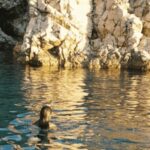 Wild Bays and Plavnik Island: A whole day private boat tour - The Highlights and Authentic Experiences