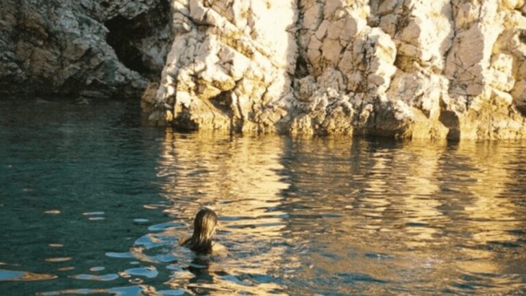 Wild Bays and Plavnik Island: A whole day private boat tour - The Highlights and Authentic Experiences